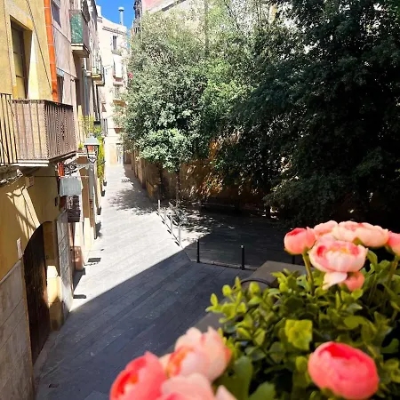 Appartamento Plaza Ripoll Catedral *