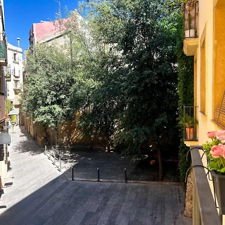 Plaza Ripoll Catedral Appartamento