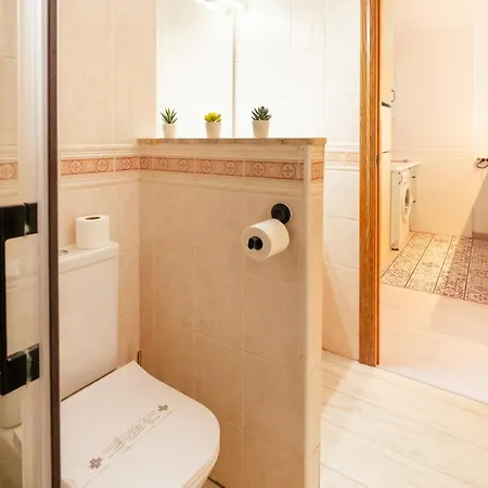 Ripoll By Unik