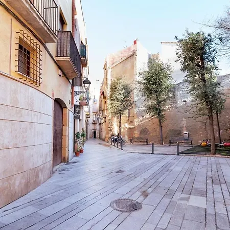Ripoll By Unik *